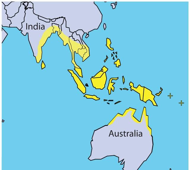 世界上最大的鳄鱼有多大,鳄鱼最大有多大图3