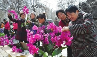 兰州的花市在哪里,兰州城关区花市在哪里图1