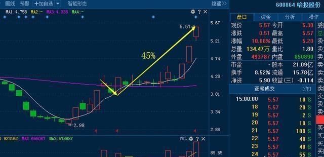 什么是真正的潜力股(什么样的股称为潜力股)图4