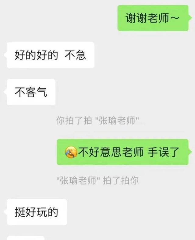 微信出现拍拍是什么意思,微信上拍拍是啥意思图4