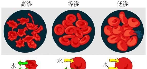 盐不是有杀菌效果吗?为什么海里还有细菌呢图2