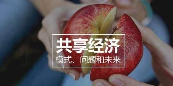 为什么共享经济会突然火热,为什么共享经济近年才发展图1