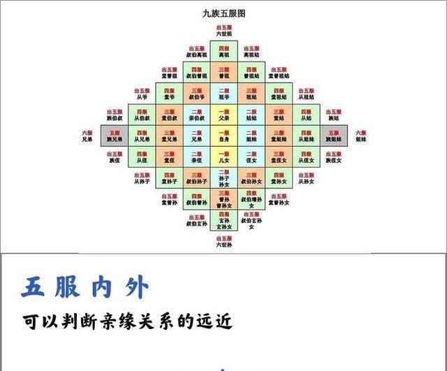 人们说的六亲不认具体指哪六亲?图10