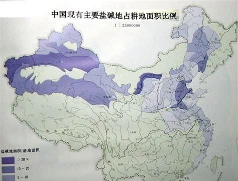 羊粪改良土壤盐碱(花盆盐碱土壤的改良方法)图4