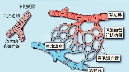 什么是磁疗技术(什么是磁疗产品)图1