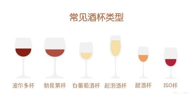 如何挑选葡萄酒酒杯(如何选葡萄酒酒杯尺寸图解)图2