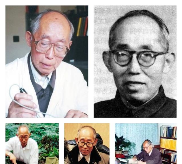 山东菏泽有几个院士,菏泽科学院院士图5