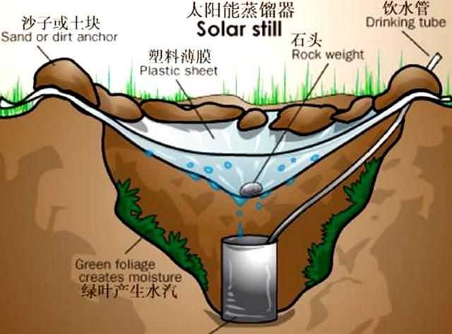 在沙漠中,身上带的水不小心弄没了,怎么办图2