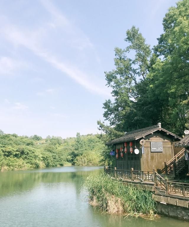 黄芪起到什么作用和功效,黄芪起到什么作用图7