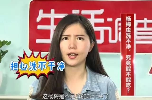 杨梅里面的小虫子怎么清洗图3