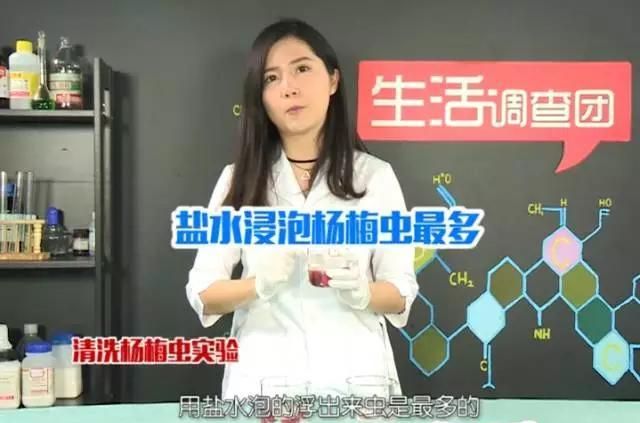 杨梅里面的小虫子怎么清洗图12