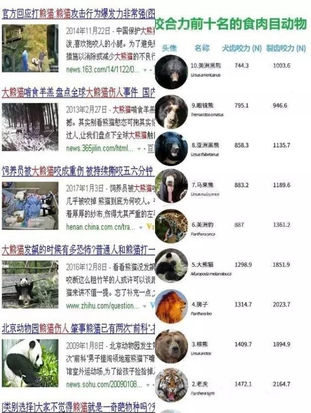 熊猫为什么是黑白配图15