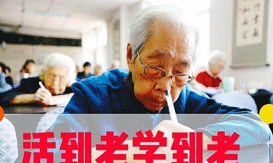 老会计如何带新会计图2