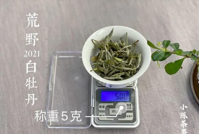 冲茶时茶叶和水应放多少才算最好图1