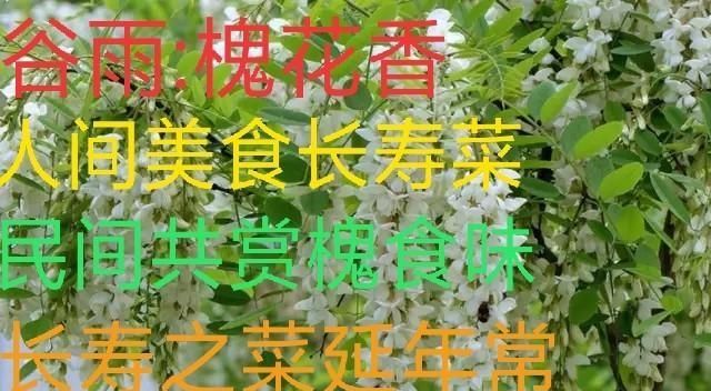 农村的洋槐花怎么做好吃又简单图12