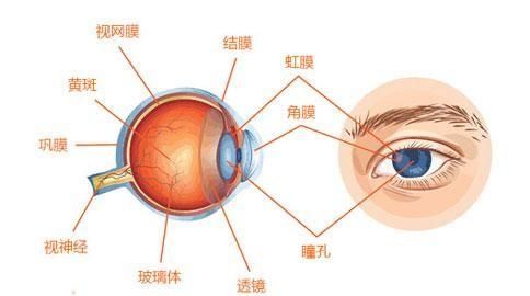 眼睛发干是什么病的征兆,眼睛突然发干是什么原因图4