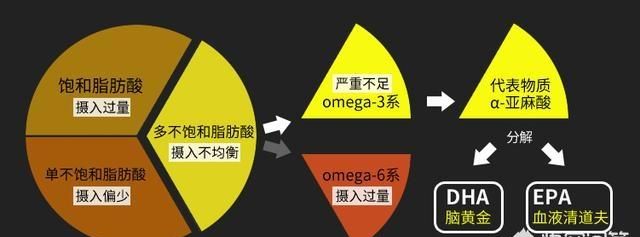 人体最大的器官是什么图8