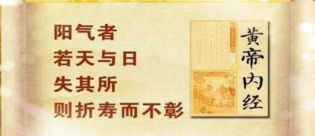 真正的伏天是从哪天开始?今年的伏天是多少天呢图4