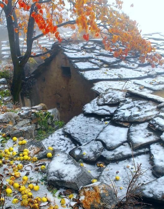 你喜欢南方雨还是北方的雪图7