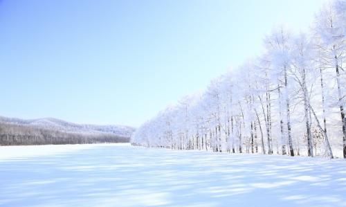 你喜欢南方雨还是北方的雪图13