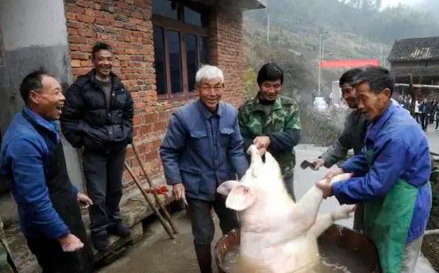 杀年猪分猪肉吗(南方杀年猪分肉的正确方法)图1