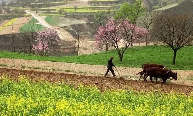 正月打雷是什么征兆，正月雷打雪是什么预兆图3