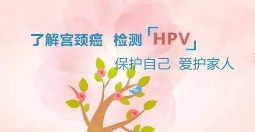 hpv3353阳性,tct正常图4