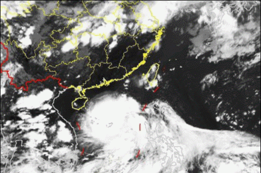 今年第2号台风鹦鹉图4