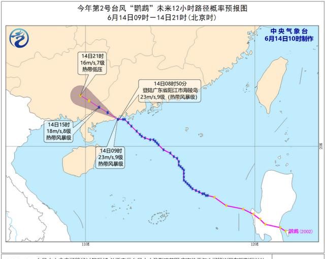 今年第2号台风鹦鹉图5