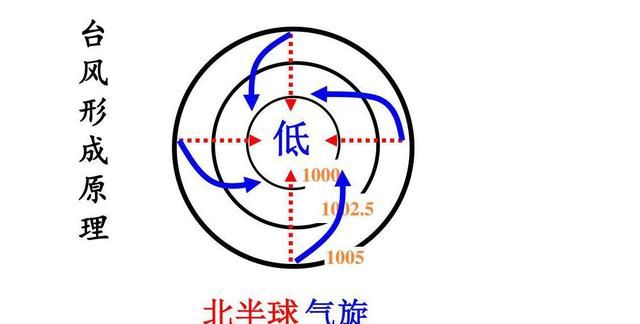 今年第2号台风鹦鹉图8