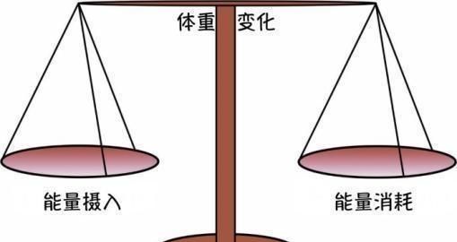 每天做运动为什么还胖了图1