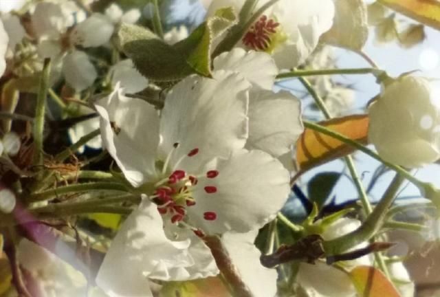 在这个春暖花开的季节，你怎么理解“面朝大海，春暖花开”这句话，你会联想到幸福吗图2