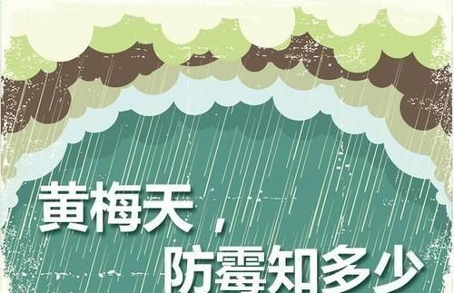 今年的梅雨期真的到七月十九号能结束吗图9