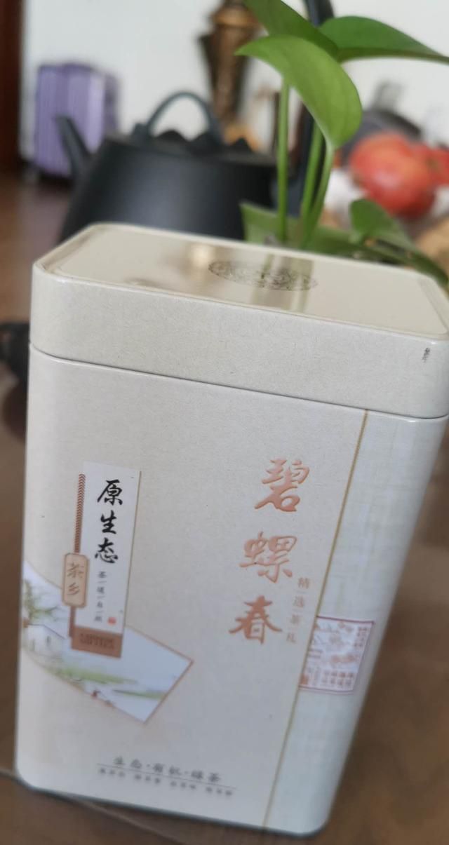 碧螺春是什么茶，碧螺春是一种什么茶图18