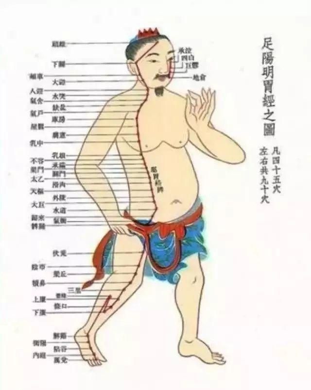 腿粗怎么减最快最有效图5