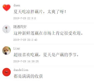 凉拌藕片怎么做好吃又简单图2