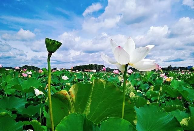 永康哪里好玩
，旅游去哪里比较好玩又便宜图4