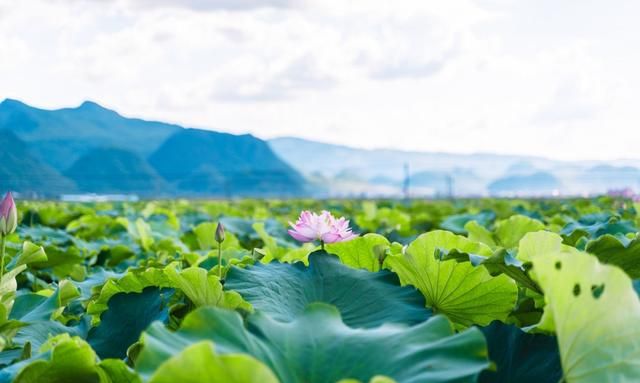 永康哪里好玩
，旅游去哪里比较好玩又便宜图5