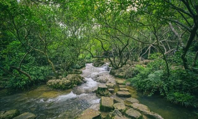 永康哪里好玩
，旅游去哪里比较好玩又便宜图26