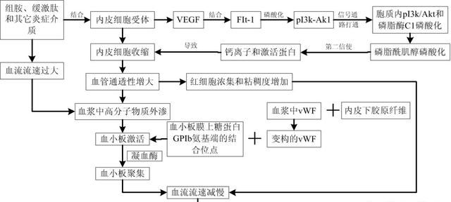 抗红血丝，红血丝怎么去除最有效图2