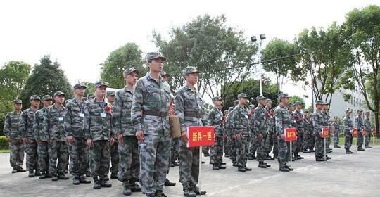 大学生当兵条件，大学生当兵怎么样才会留在部队图6