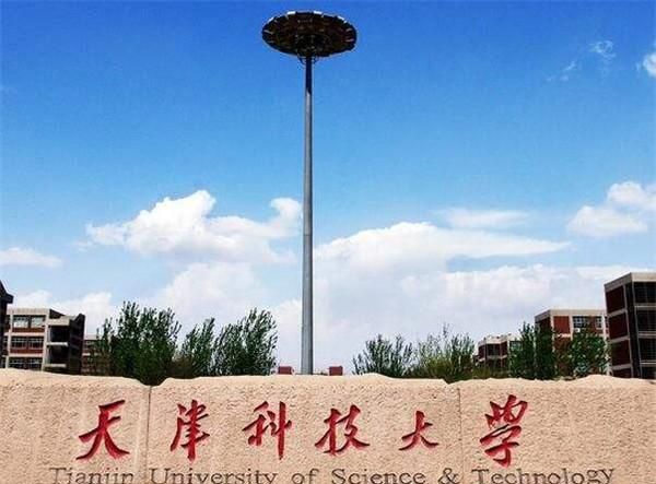 天津大学办公网，天津有哪些大学排名一览表图17