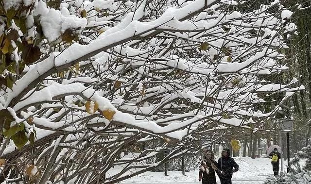 明天是四绝日，老人说“明日三不空，今冬不受穷”，什么是三不空图5