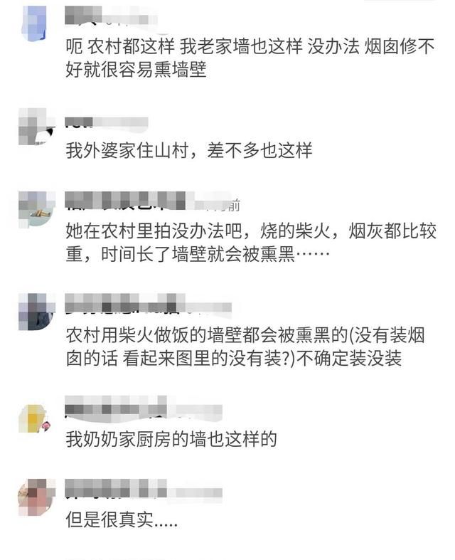 李子柒粉丝过亿，可城里人说她厨房脏；农村人说她的很假、很不真实，你怎么看呢图3