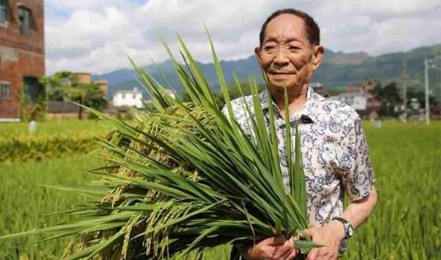 袁隆平持有隆平高科的股票吗图1