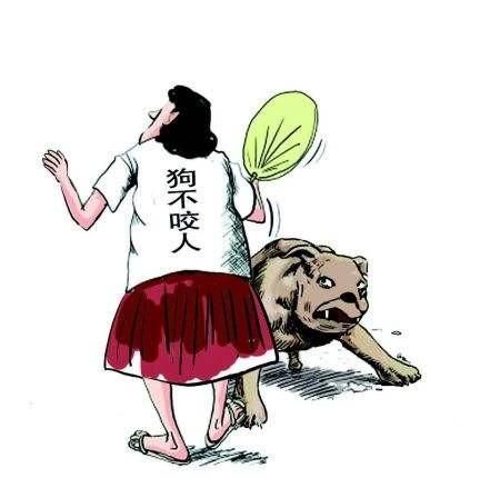 萨摩耶会咬人严重吗图1