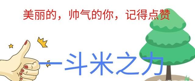 qq飞车手游即将上线宠物系统，宠物会以哪种方式获取呢图7