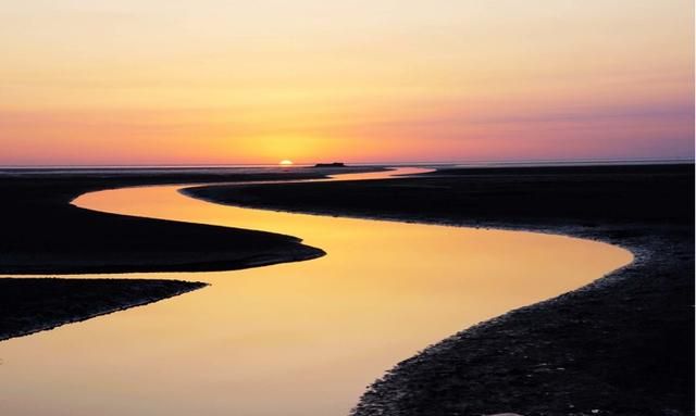 黄河入海口在哪(黄河入海口在哪个地方)图4