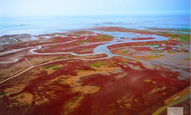 黄河入海口在哪(黄河入海口在哪个地方)图5